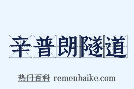 辛普朗隧道是什么意思的图片